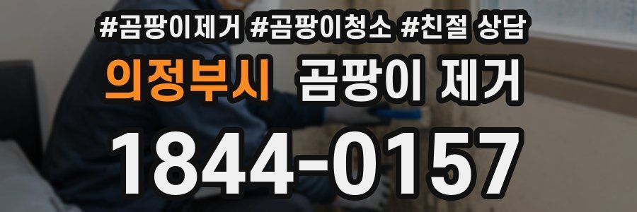 의정부시 곰팡이 제거