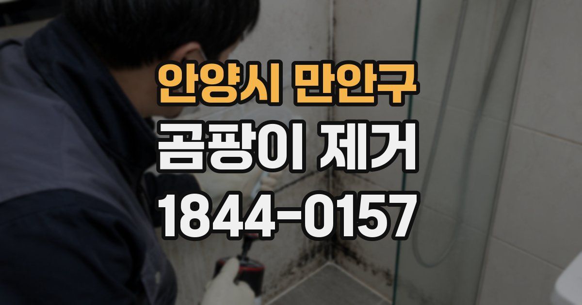 안양시 만안구 곰팡이 제거