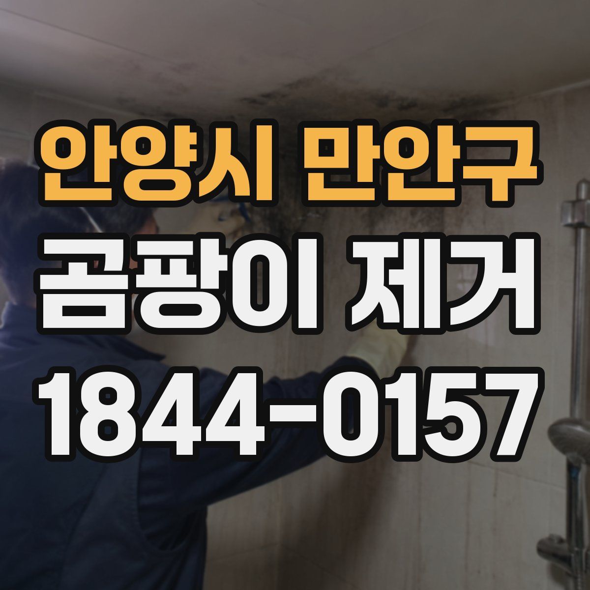 안양시 만안구 곰팡이 제거