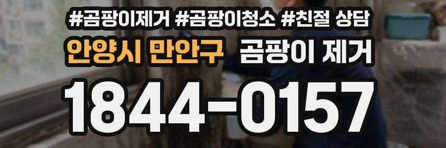 안양시 만안구 곰팡이 제거