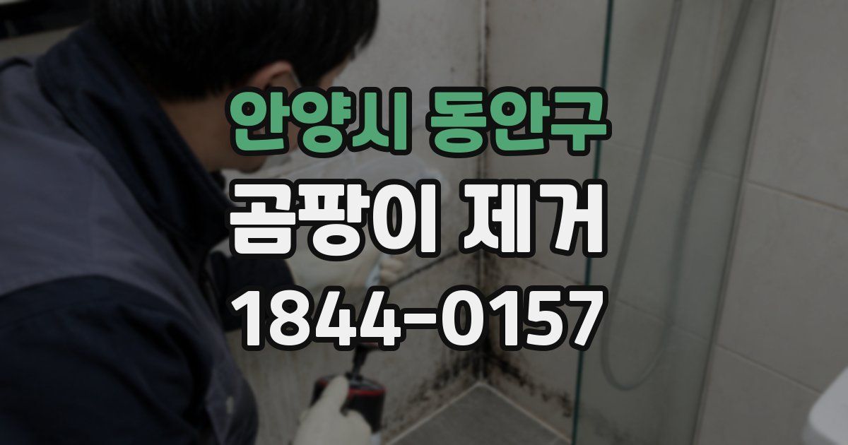 안양시 동안구 곰팡이 제거