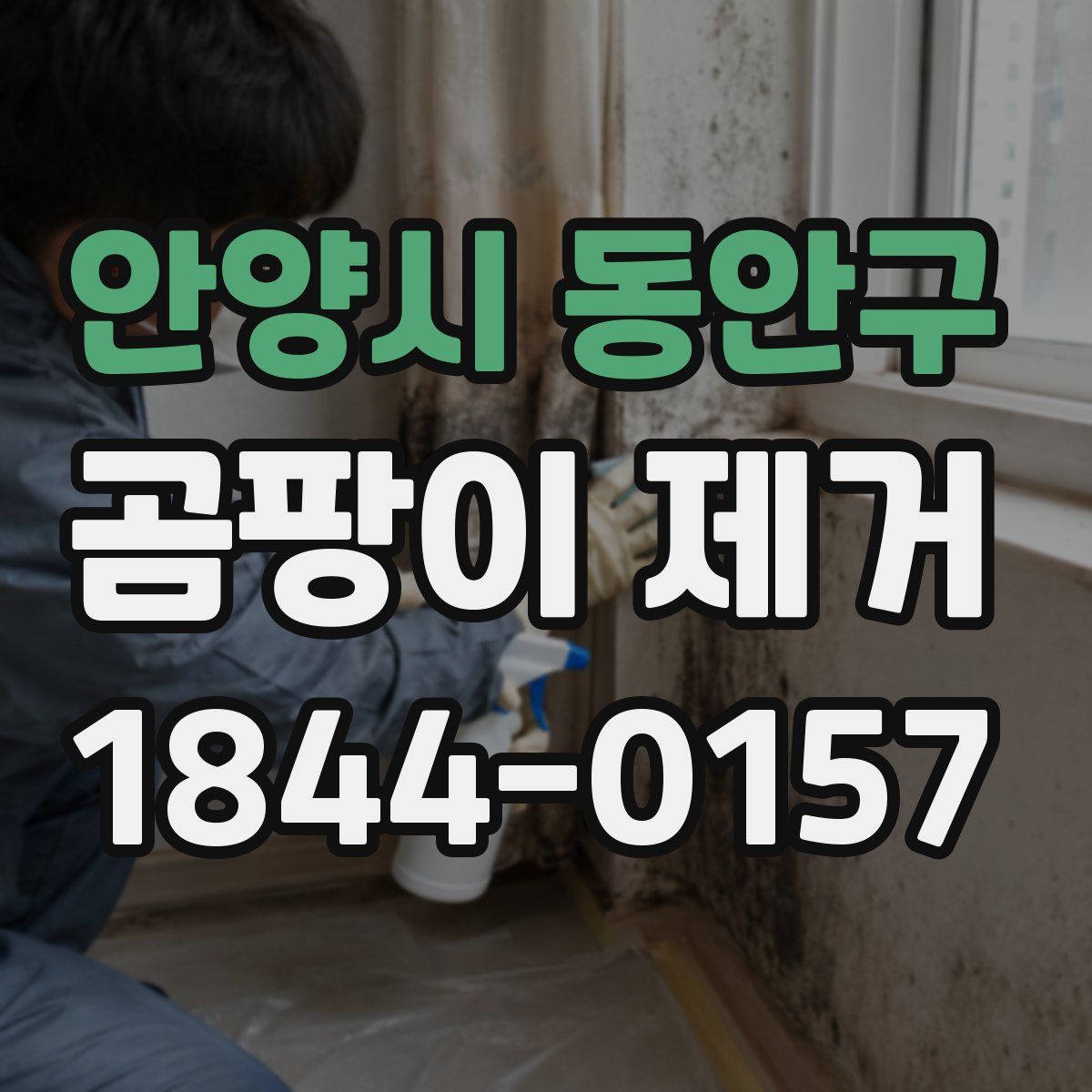 안양시 동안구 곰팡이 제거