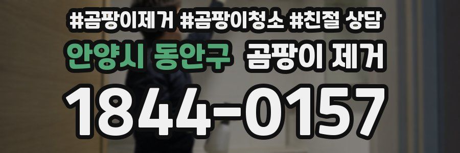안양시 동안구 곰팡이 제거