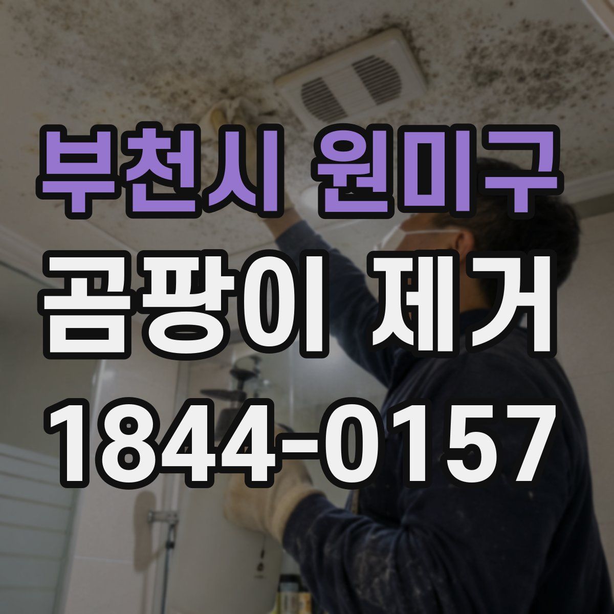 부천시 원미구 곰팡이 제거