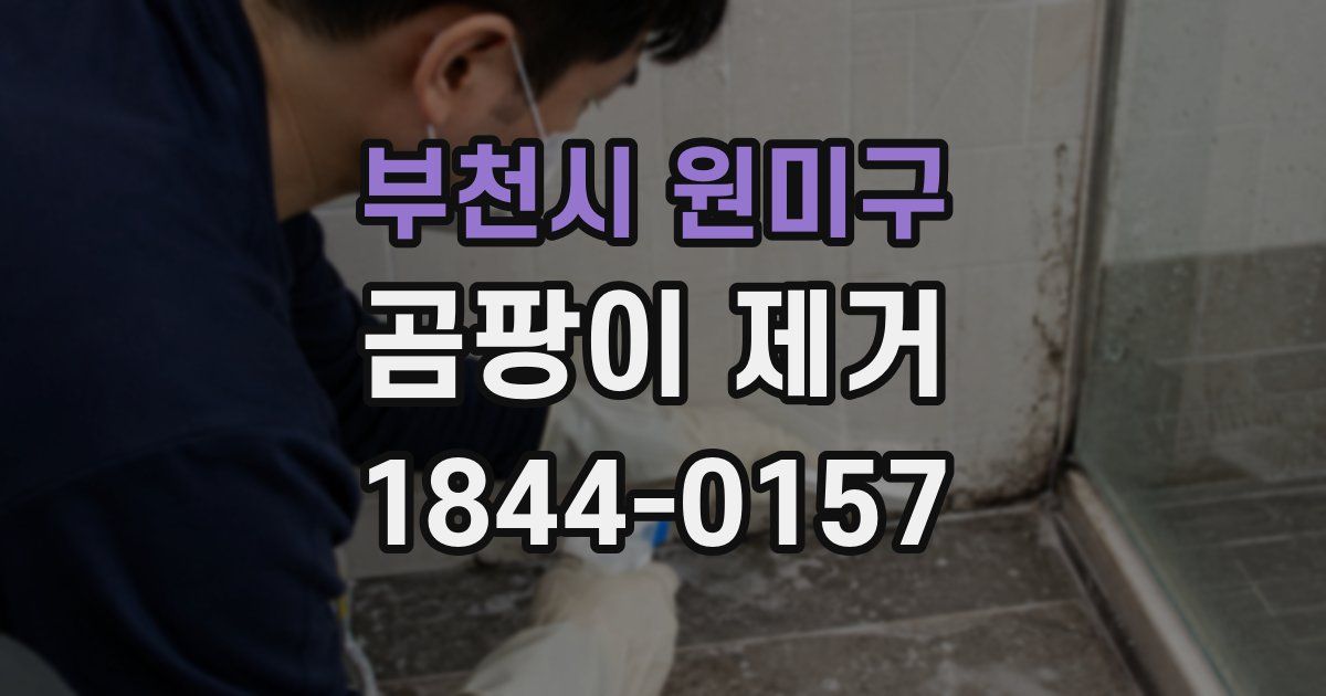 부천시 원미구 곰팡이 제거