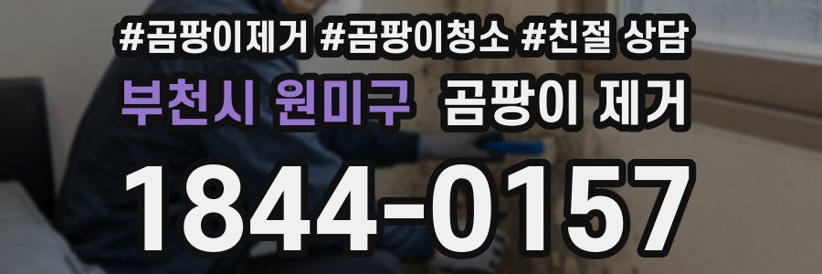 부천시 원미구 곰팡이 제거
