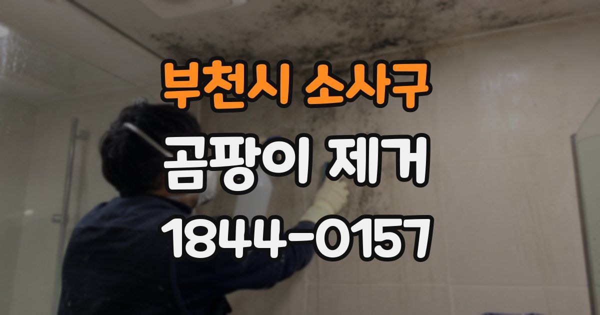 부천시 소사구 곰팡이 제거