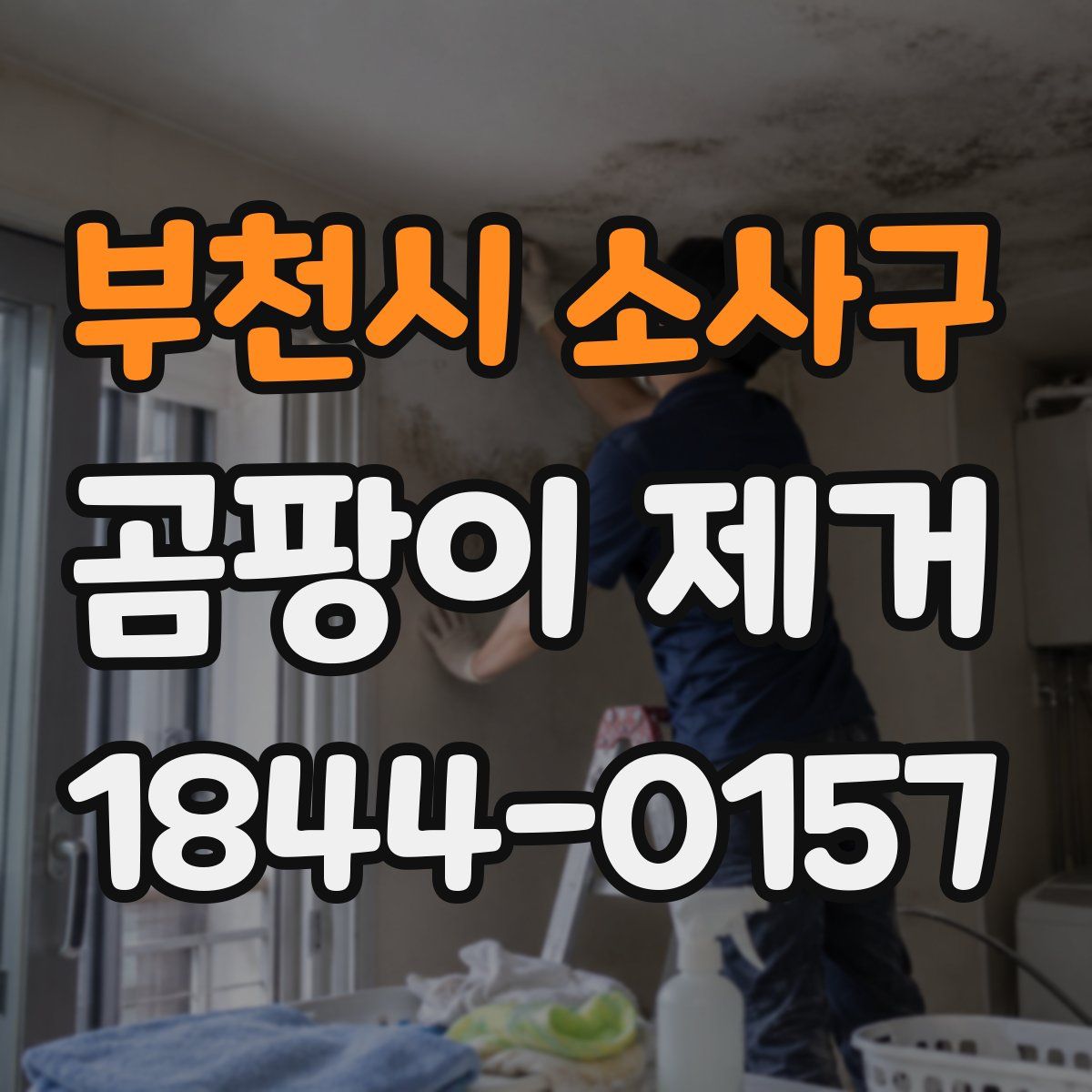 부천시 소사구 곰팡이 제거