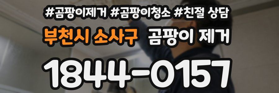 부천시 소사구 곰팡이 제거
