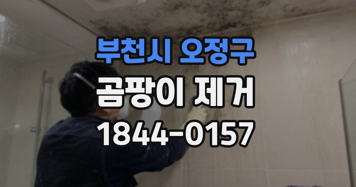 부천시 오정구 곰팡이 제거