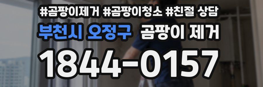 부천시 오정구 곰팡이 제거