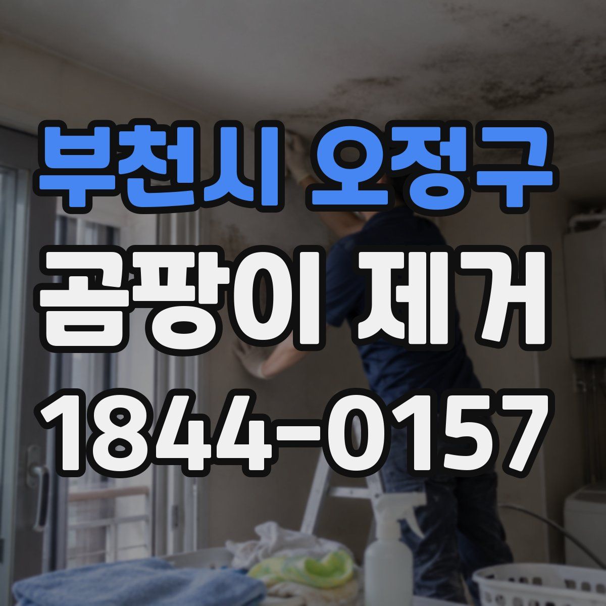 부천시 오정구 곰팡이 제거