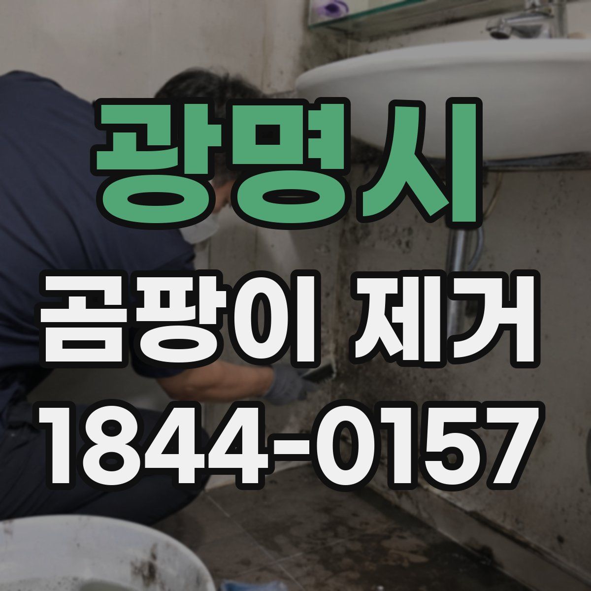광명시 곰팡이 제거