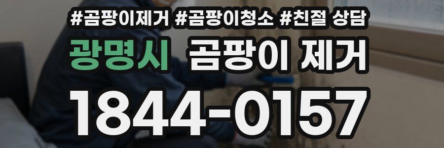 광명시 곰팡이 제거
