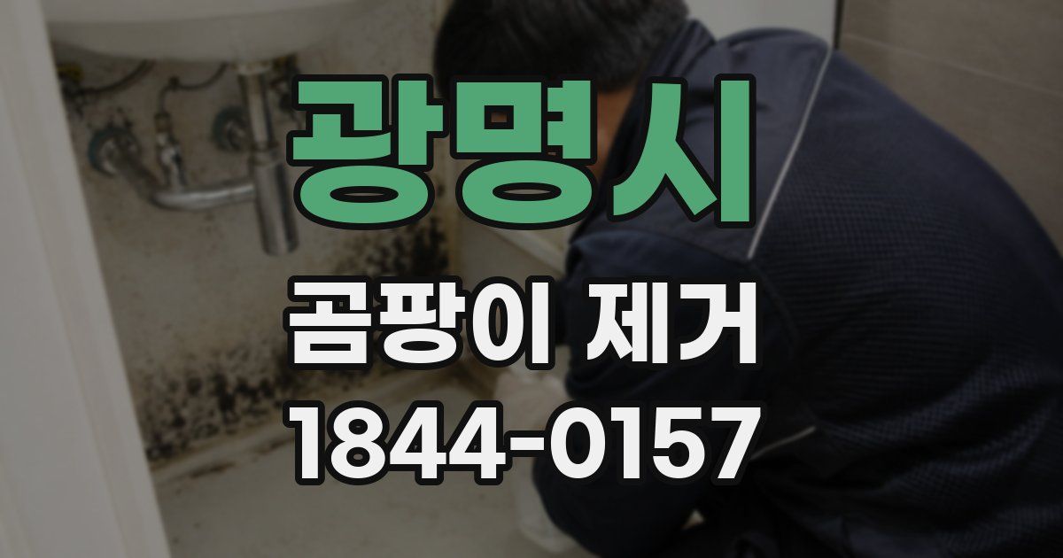 광명시 곰팡이 제거