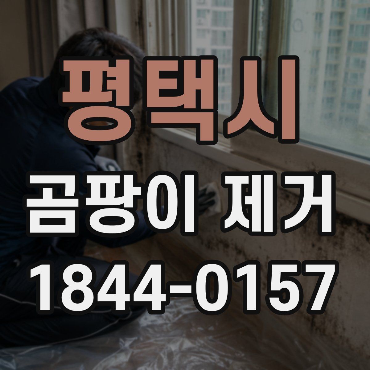평택시 곰팡이 제거 상담 전에 알아두면 좋은 정보