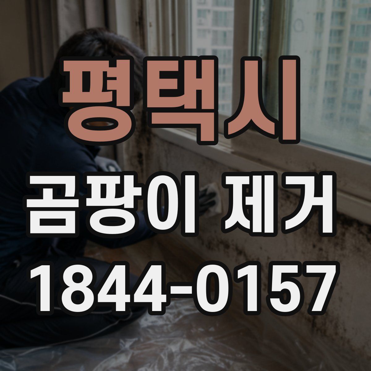 평택시 곰팡이 제거