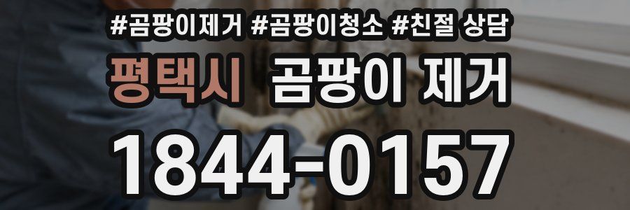 평택시 곰팡이 제거