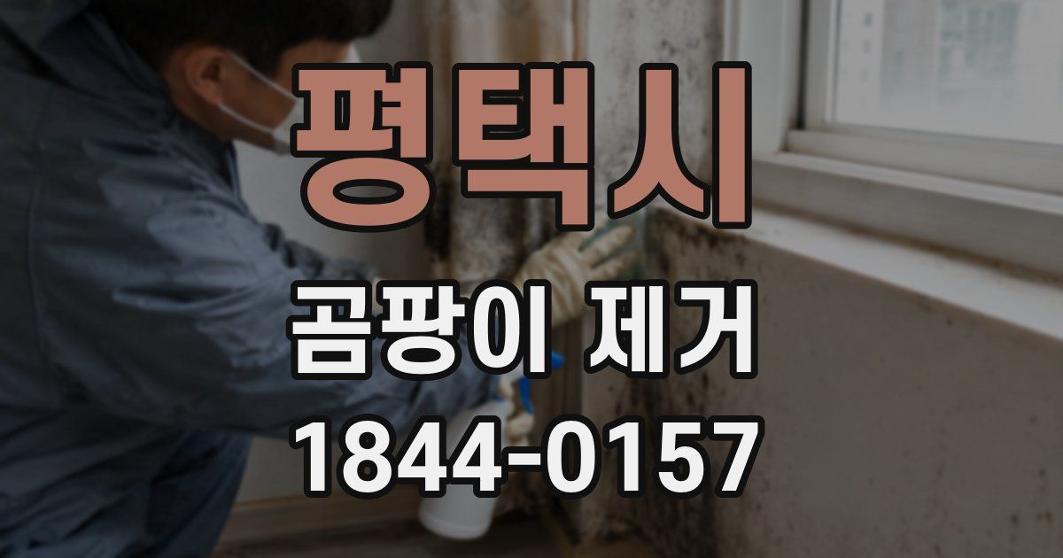 평택시 곰팡이 제거