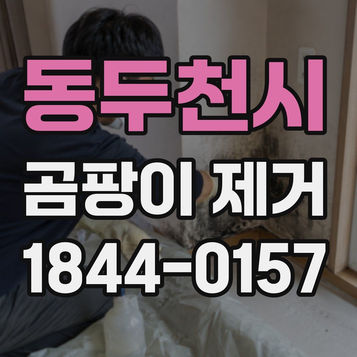 동두천시 곰팡이 제거 오래 방치했을 때 생기는 문제