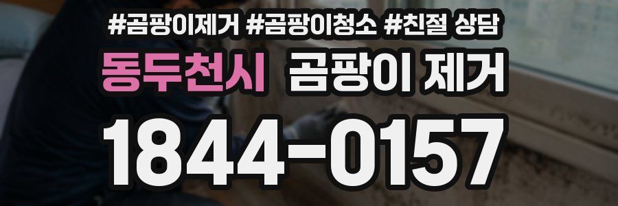 동두천시 곰팡이 제거