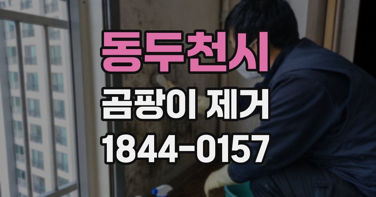 동두천시 곰팡이 제거