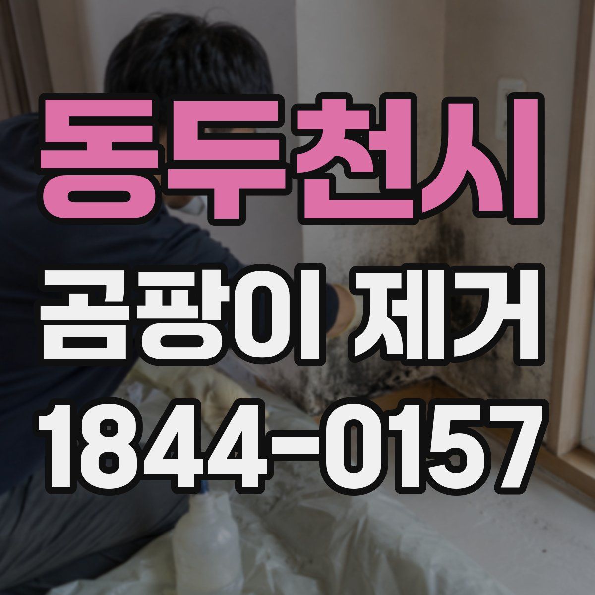 동두천시 곰팡이 제거