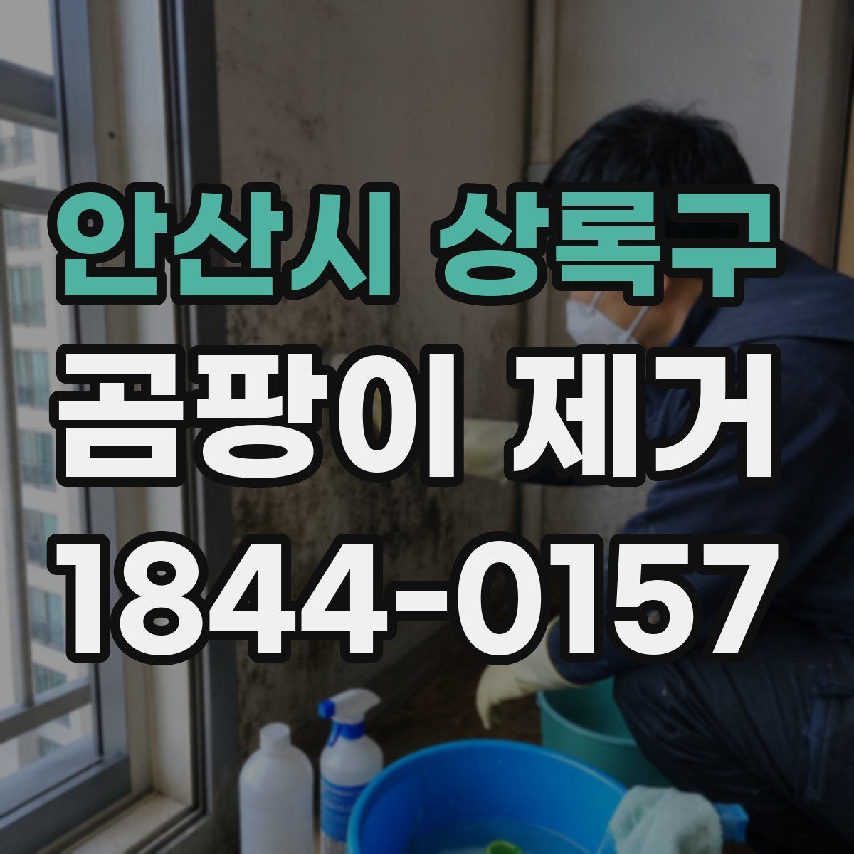 안산시 상록구 곰팡이 제거