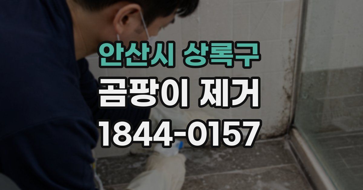 안산시 상록구 곰팡이 제거
