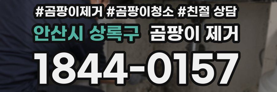 안산시 상록구 곰팡이 제거