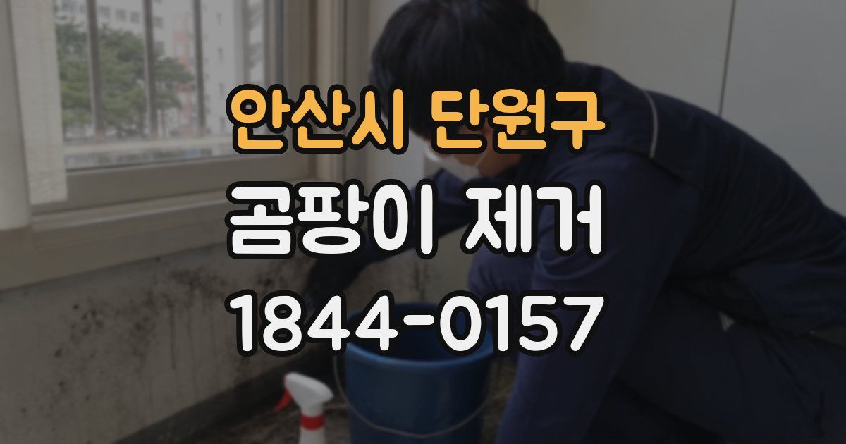 안산시 단원구 곰팡이 제거