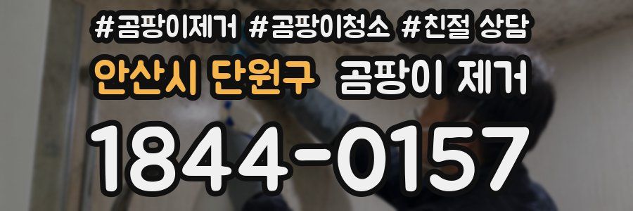 안산시 단원구 곰팡이 제거