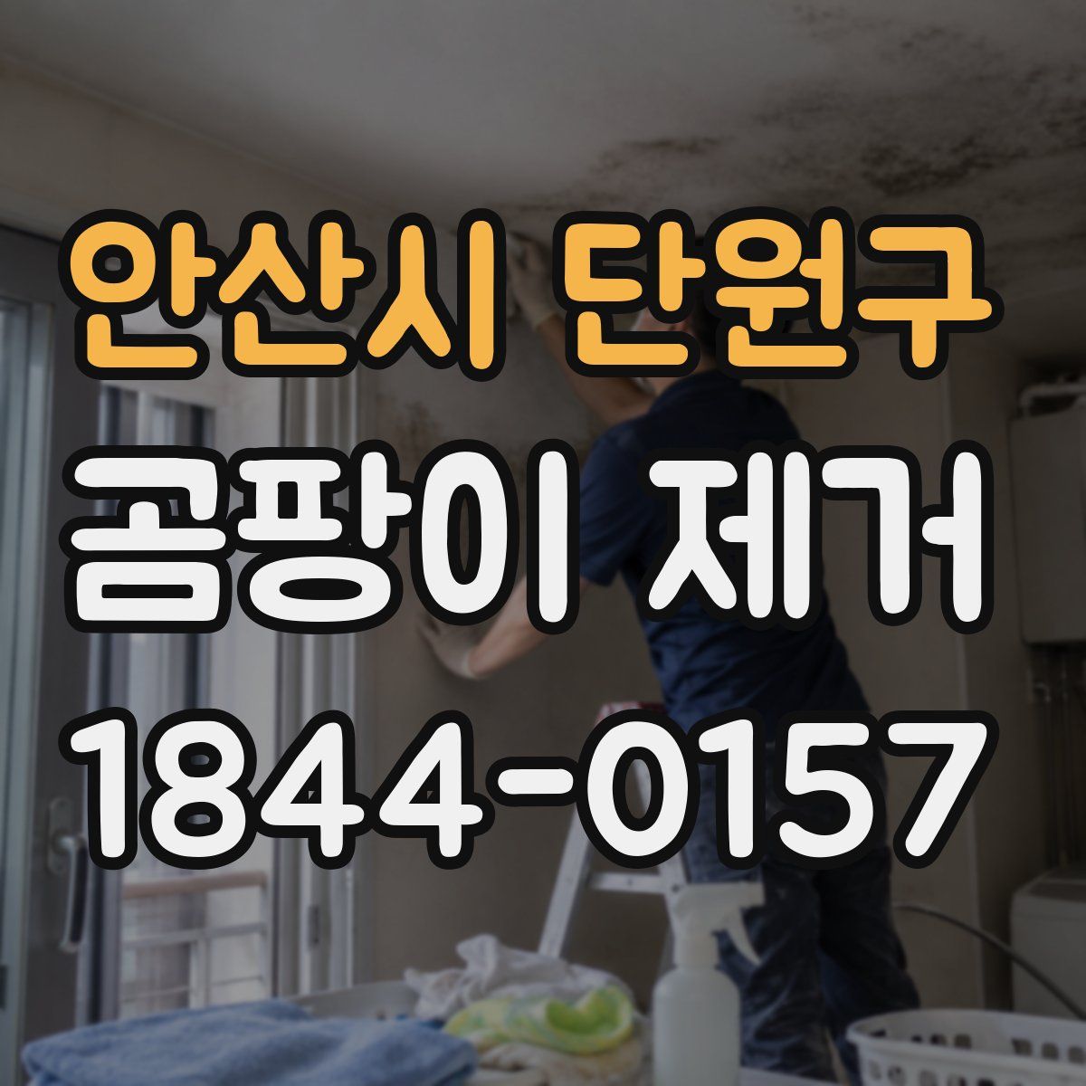 안산시 단원구 곰팡이 제거
