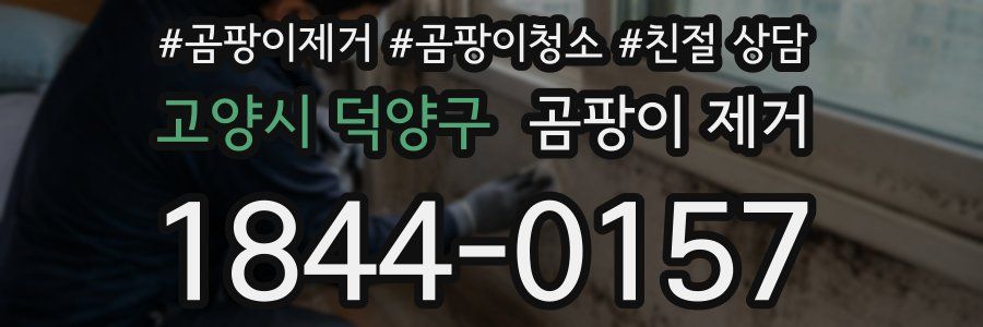 고양시 덕양구 곰팡이 제거