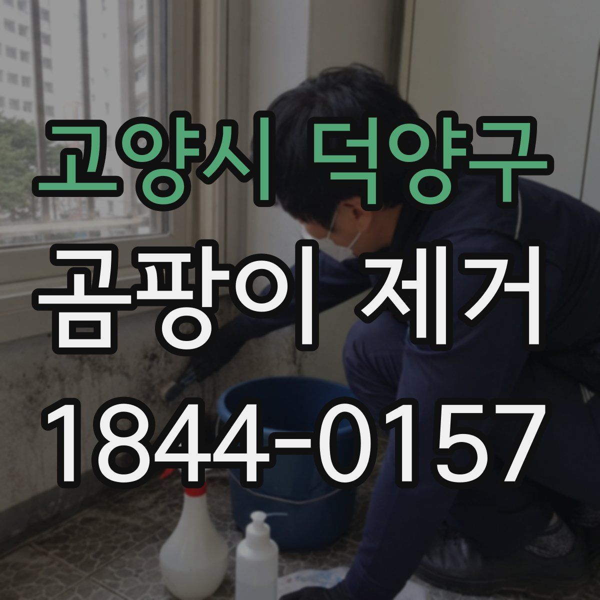고양시 덕양구 곰팡이 제거