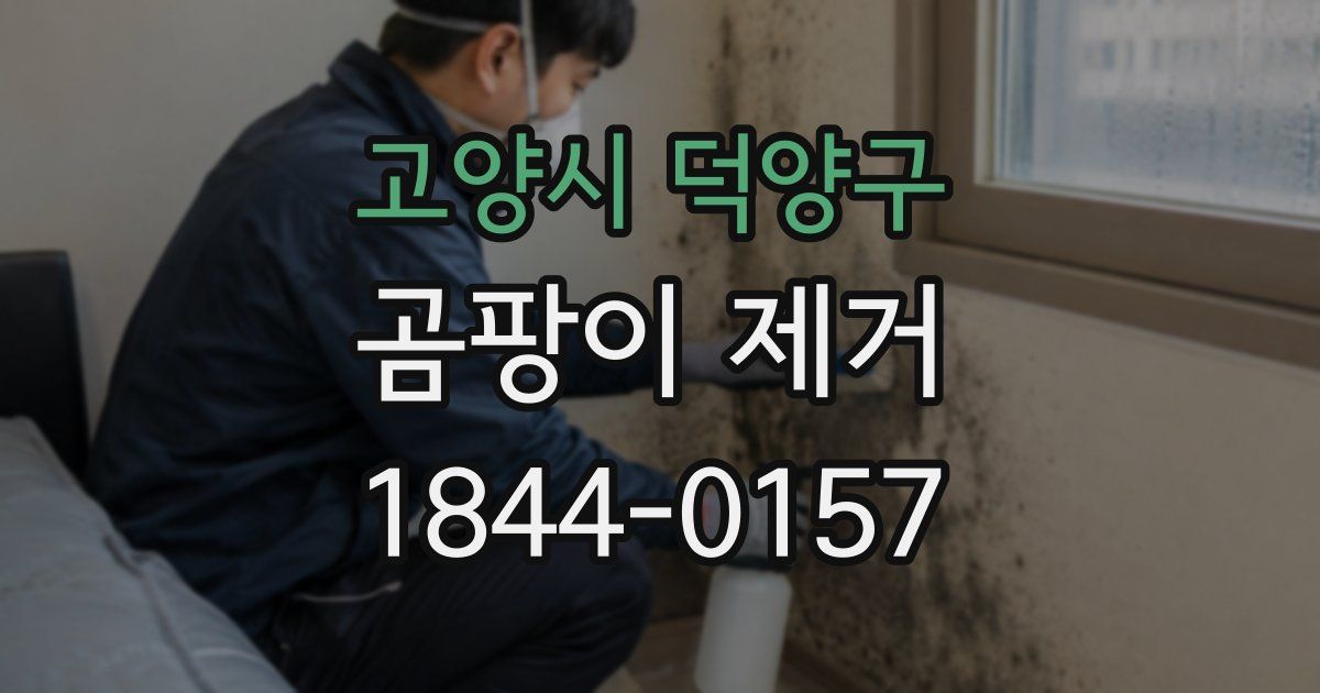 고양시 덕양구 곰팡이 제거