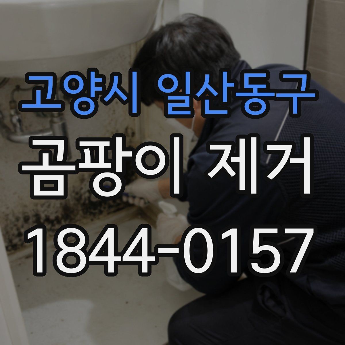 고양시 일산동구 곰팡이 제거 가구 뒤 공간 관리가 중요한 이유