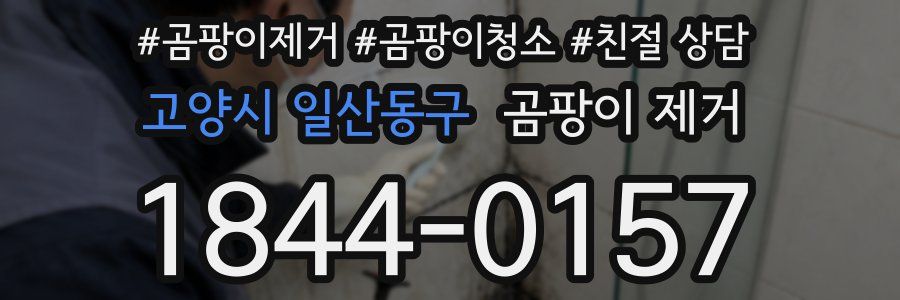 고양시 일산동구 곰팡이 제거