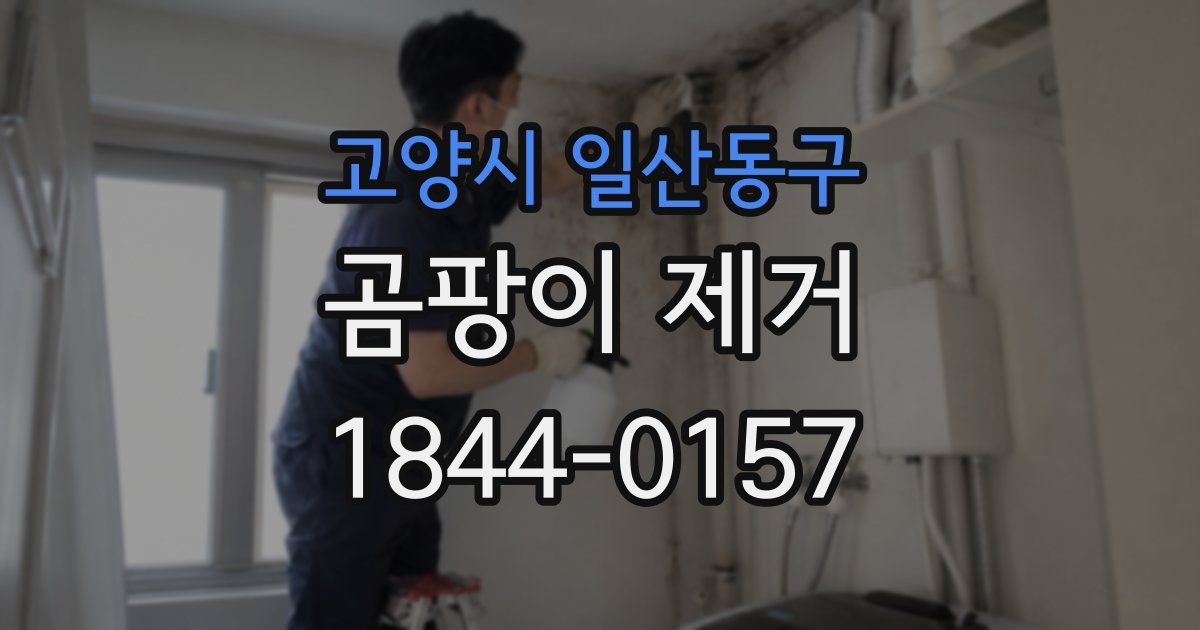 고양시 일산동구 곰팡이 제거