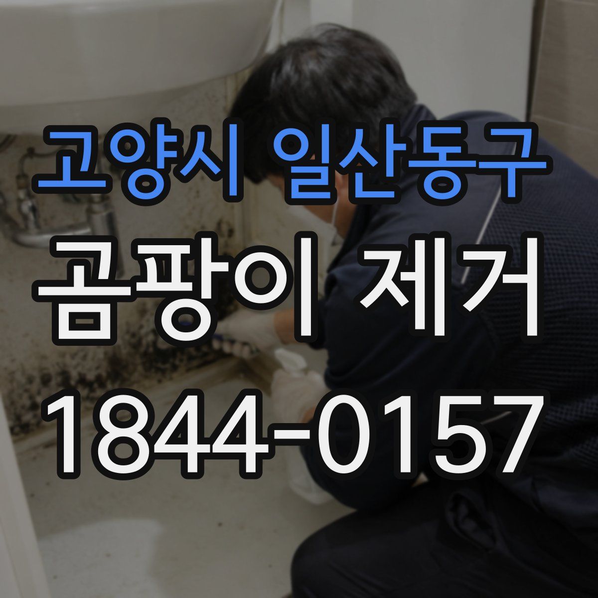 고양시 일산동구 곰팡이 제거