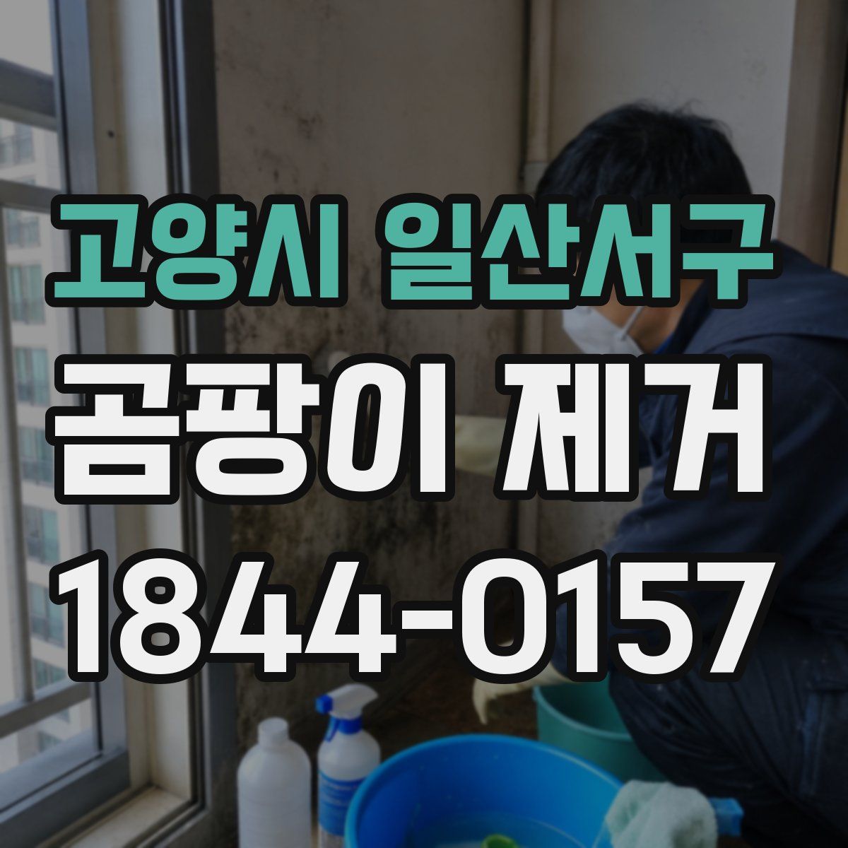 고양시 일산서구 곰팡이 제거