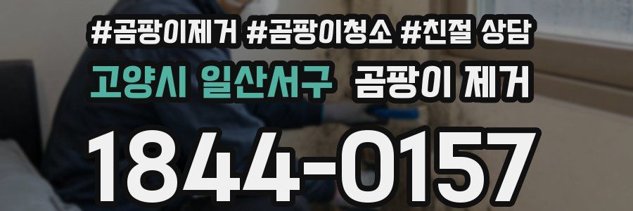 고양시 일산서구 곰팡이 제거