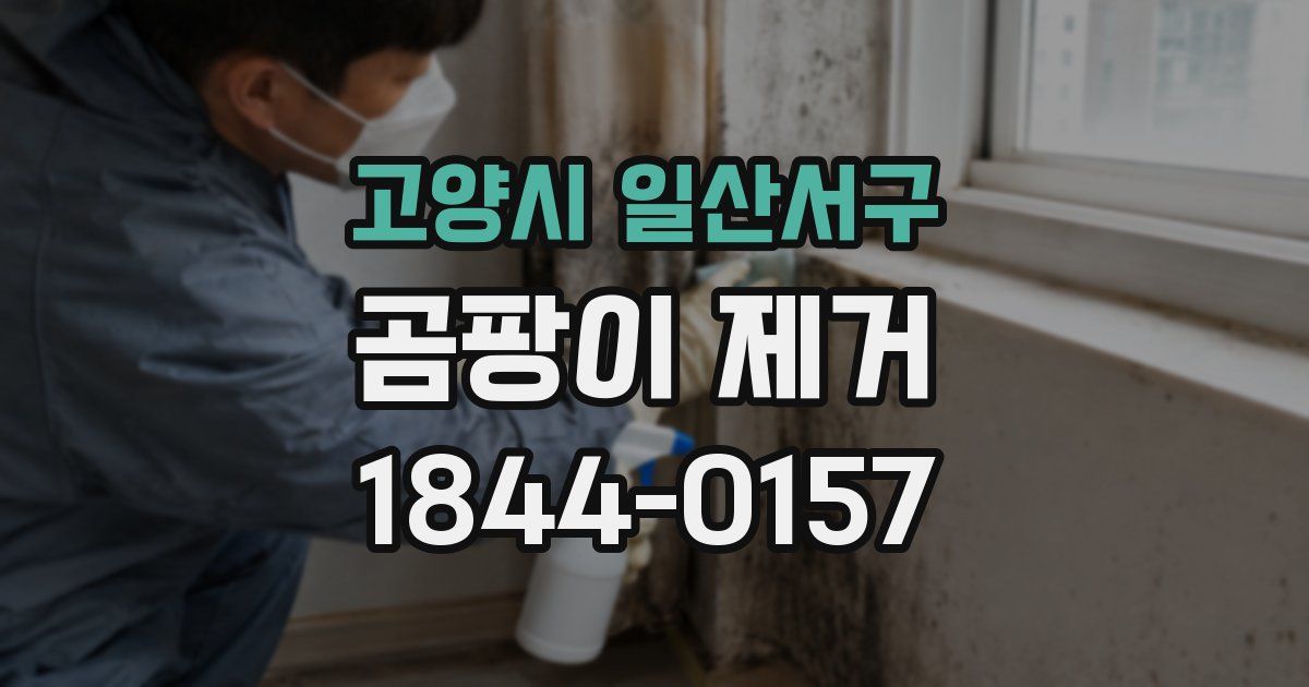 고양시 일산서구 곰팡이 제거