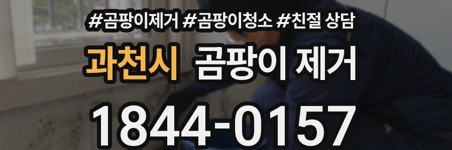 과천시 곰팡이 제거