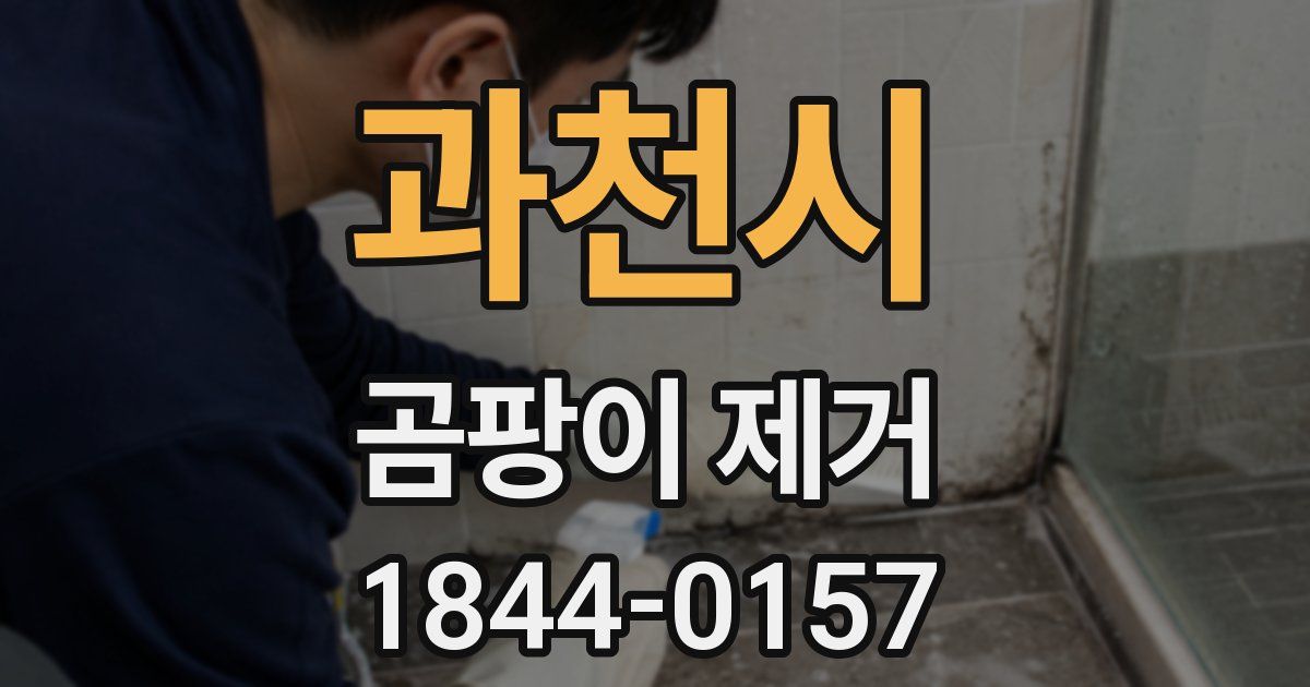 과천시 곰팡이 제거