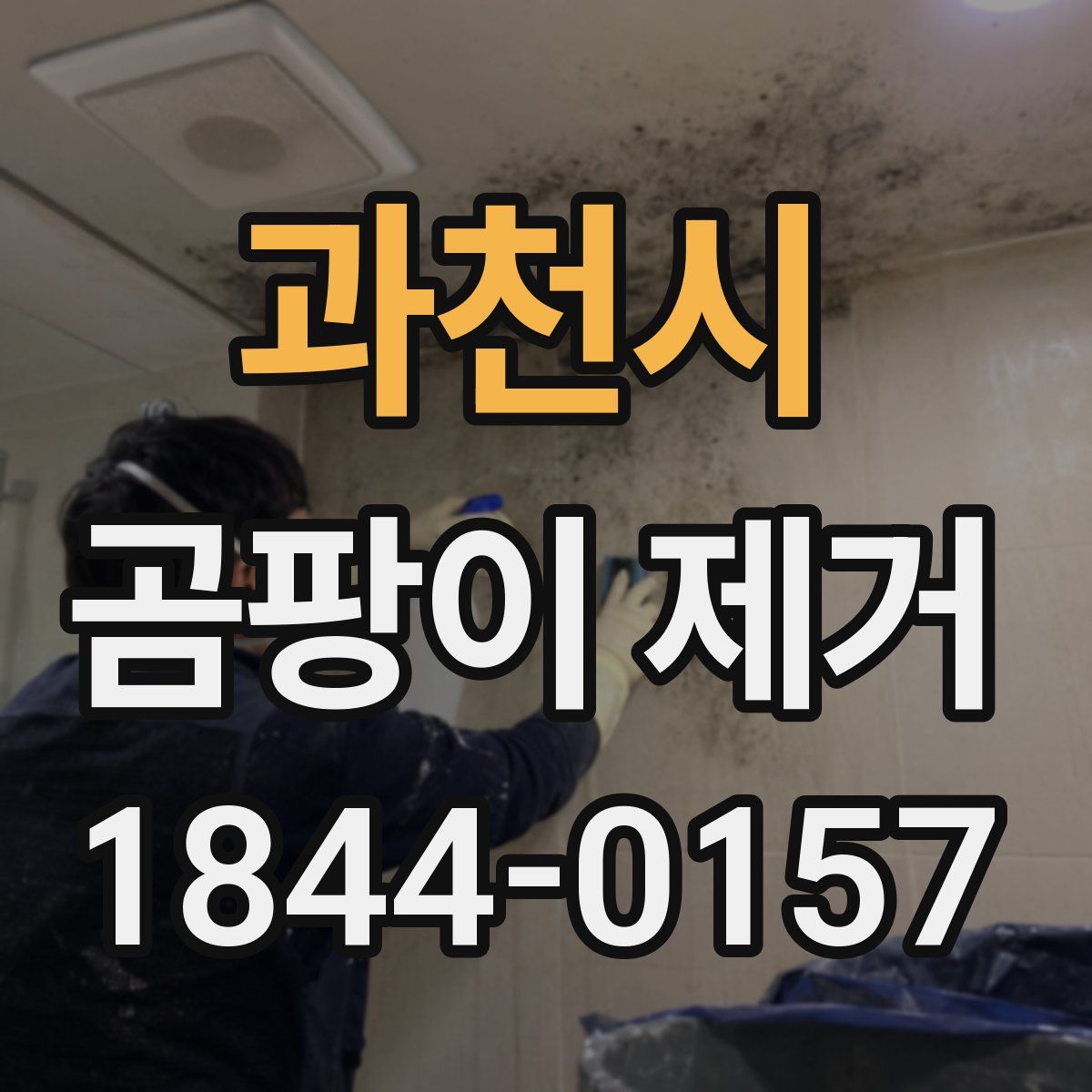 과천시 곰팡이 제거