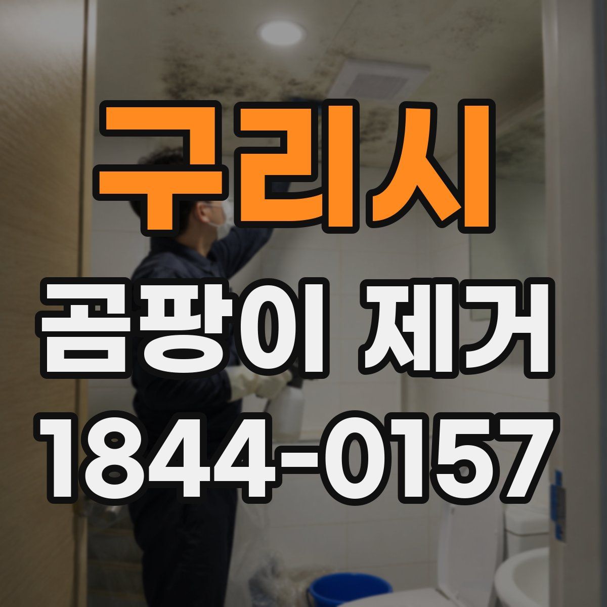 구리시 곰팡이 제거