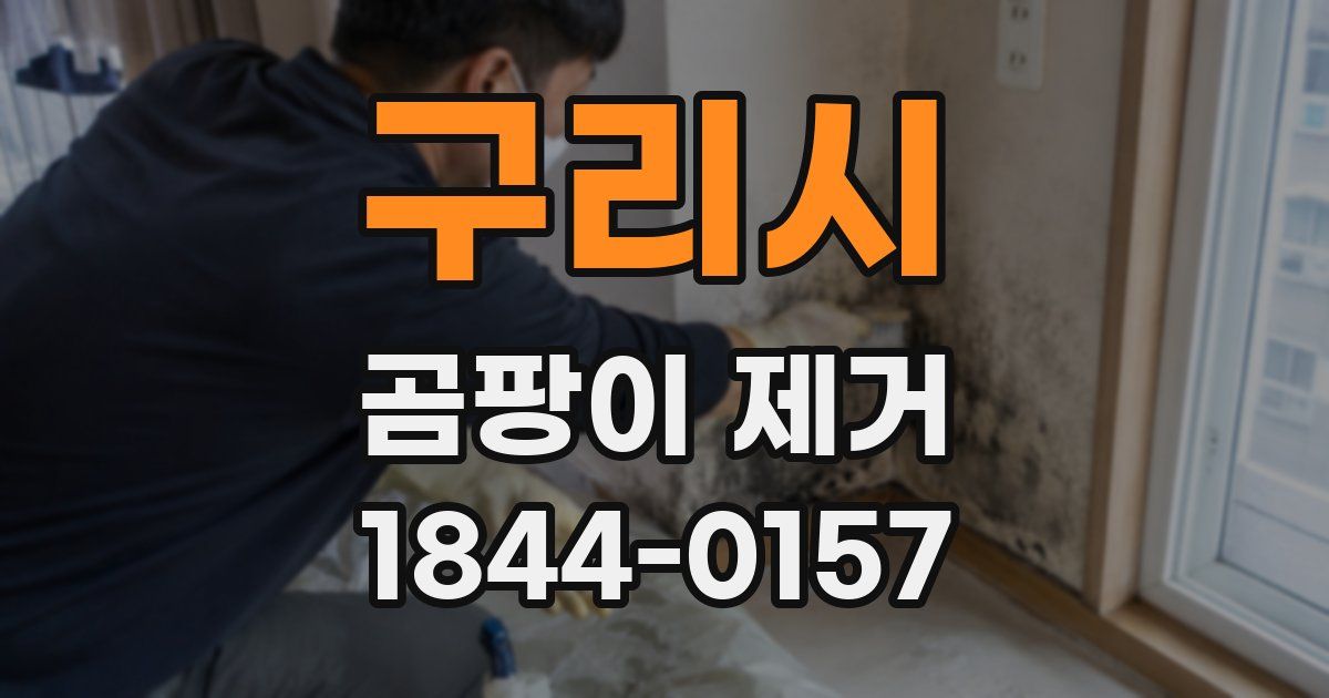 구리시 곰팡이 제거