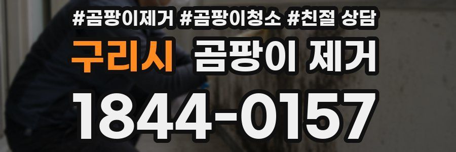 구리시 곰팡이 제거