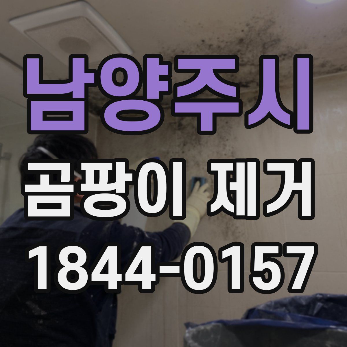 남양주시 곰팡이 제거